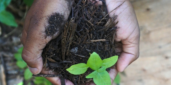 Prof Jamie Compost Hands