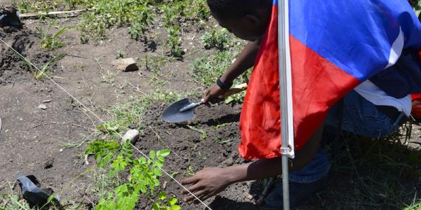 Student planting trees with flag
