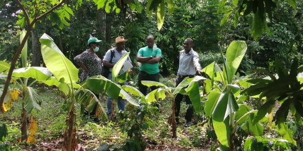 BNEE staff visiting Konpòs Lakay customer’s coffee plantation