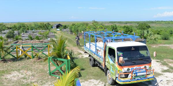 Photo courtesy of Ricardo Venegas