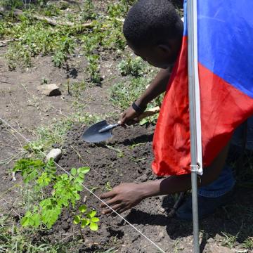 Student planting trees with flag