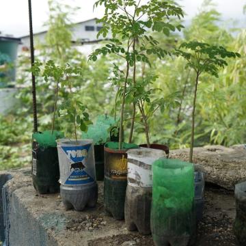 plastic bottle planters