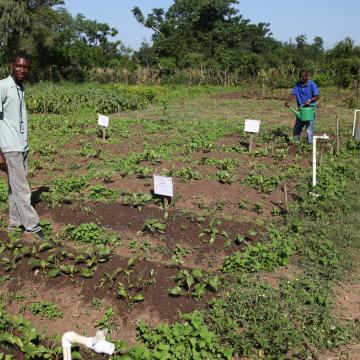 Agronomists
