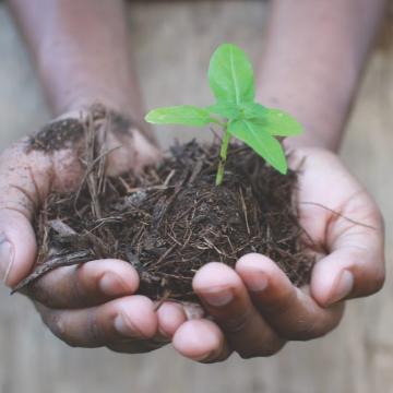 EkoLakay compost