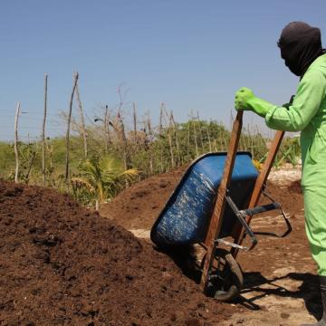 moving compost in Port au Prince