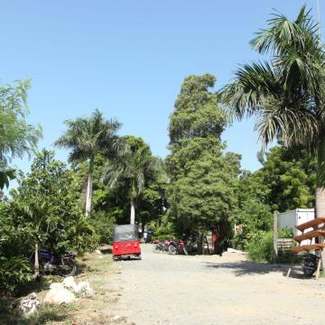 Photo credit: Vic Hinterlang