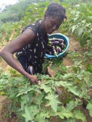 Caris Foundation garden with SOIL compost