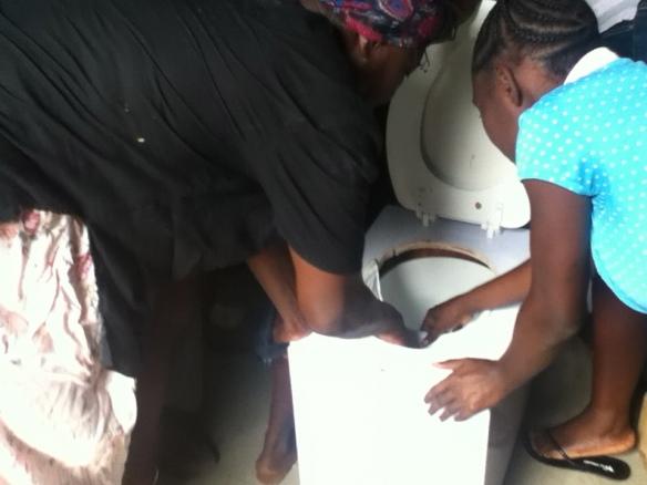 toilet test urine diversion