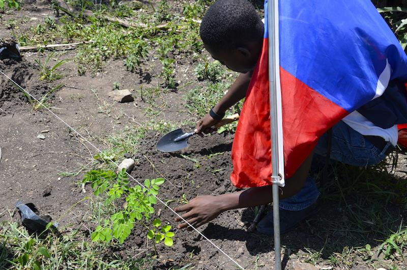 Student planting trees with flag