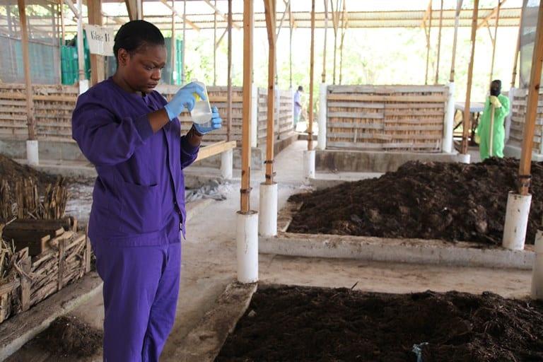 photo: Vic Hinterlang