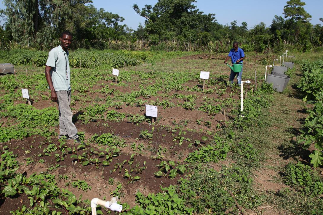 Agronomists