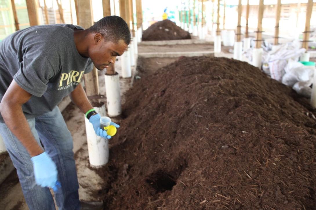 testing compost