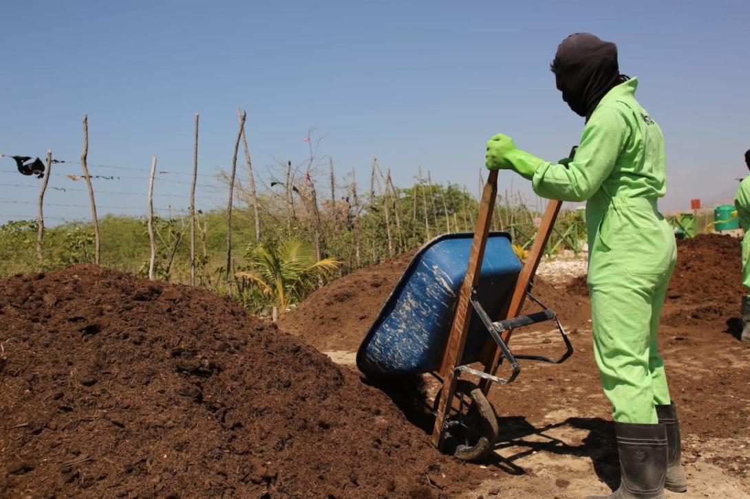 moving compost in Port au Prince