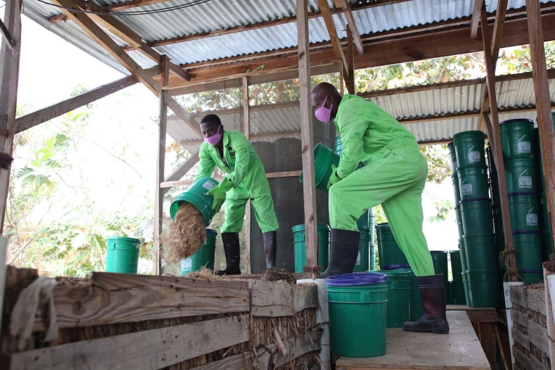 Photo: Vic Hinterlang