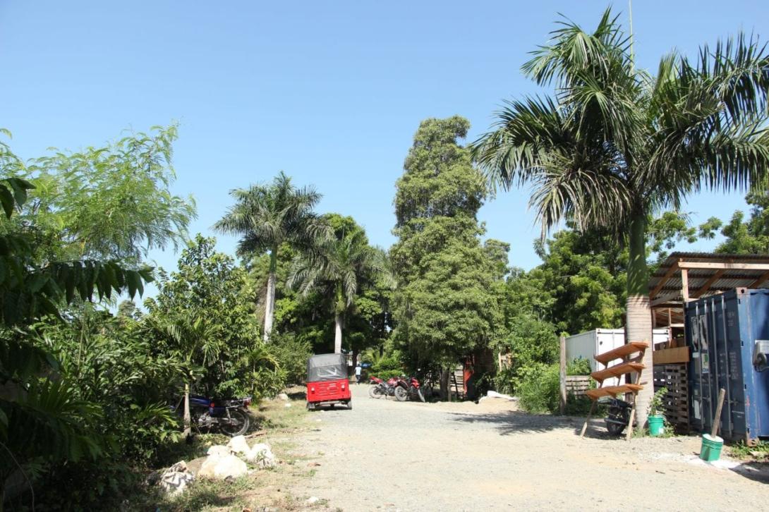 Photo credit: Vic Hinterlang