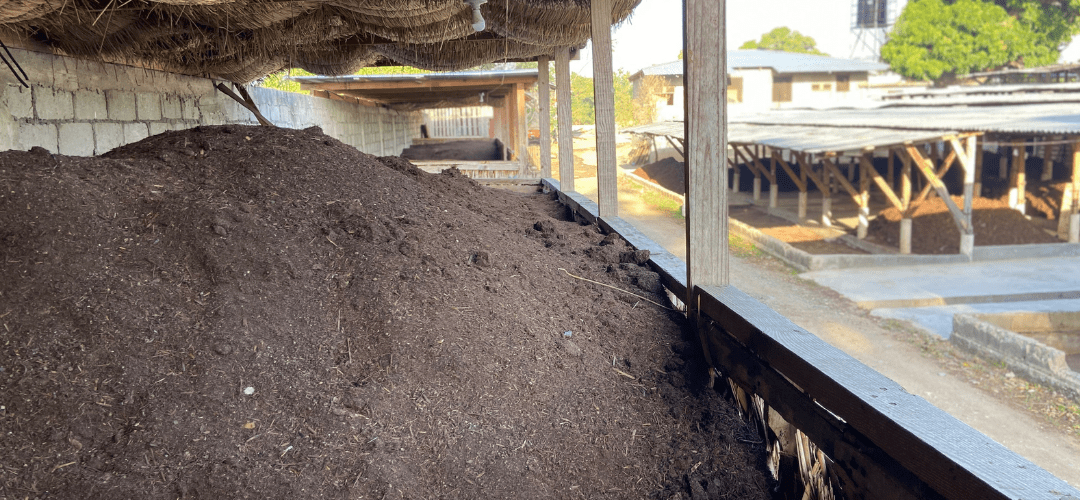 SOIL compost