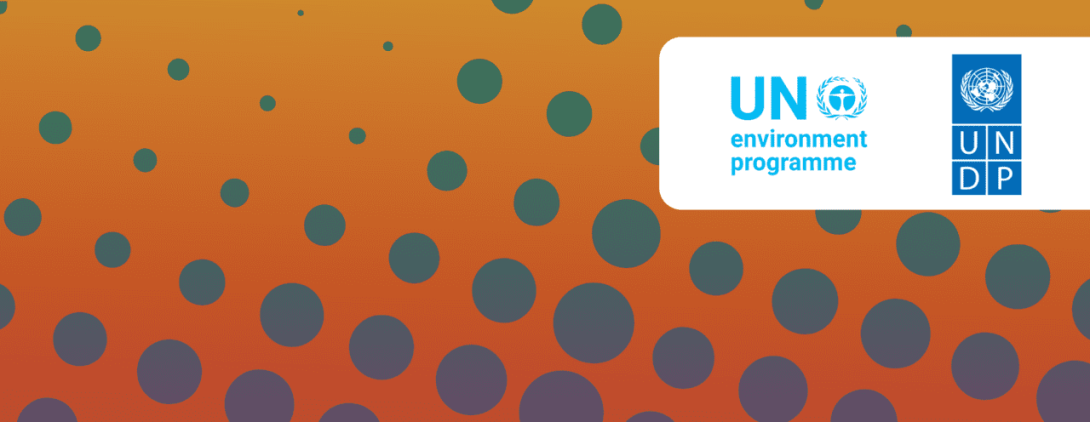 UN Environment Programme