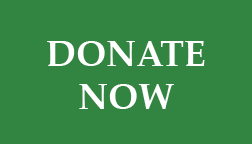 SOIL-Donate-Button1